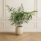 Artificial Plant
